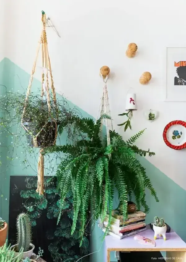 samambaia-na-decoracao