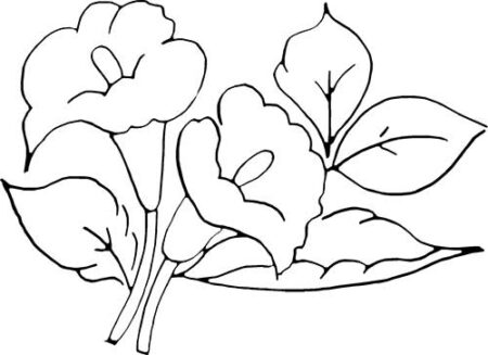 desenho-para-colorir-flores