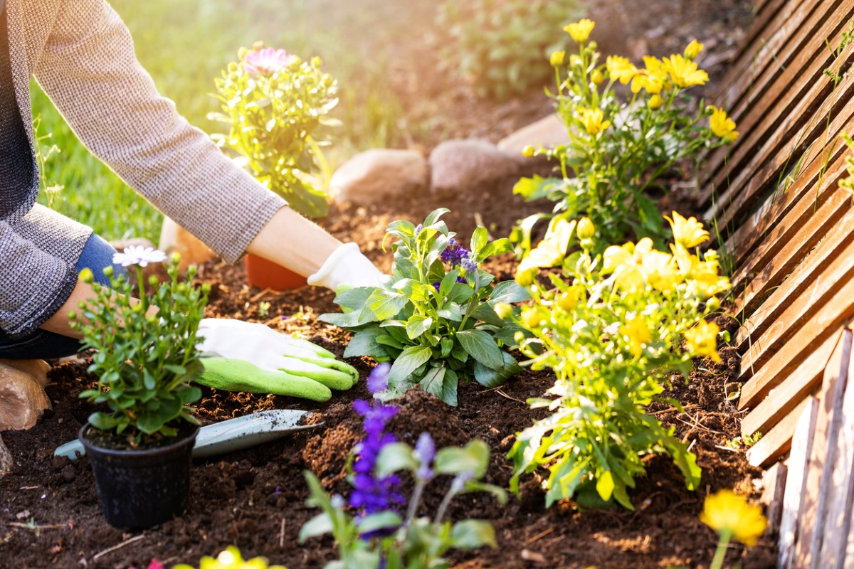 plantas-para-jardim