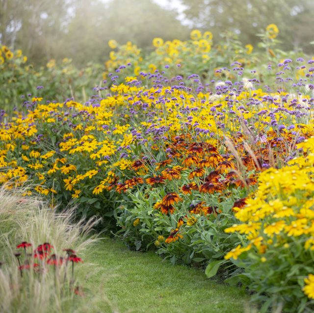 plantas-para-jardim