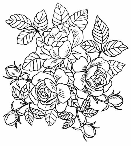 desenho-para-colorir-flores