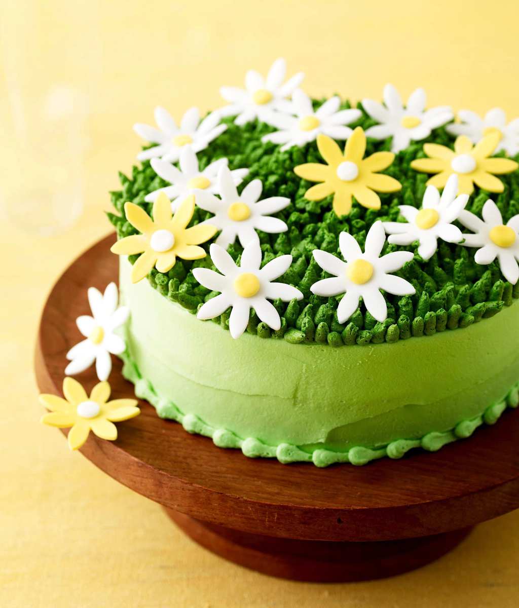 Decorated Cake Daisies