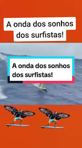 frases-de-surfistas-famosos