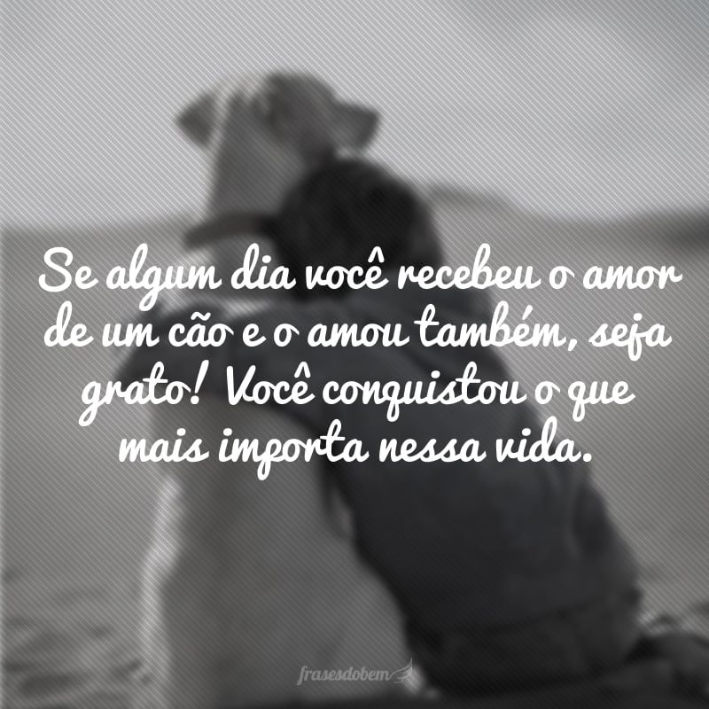 frases-para-fotos-com-cachorro