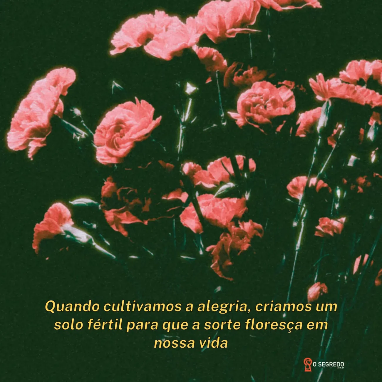 frases-para-fotos-sozinhas-tumblr