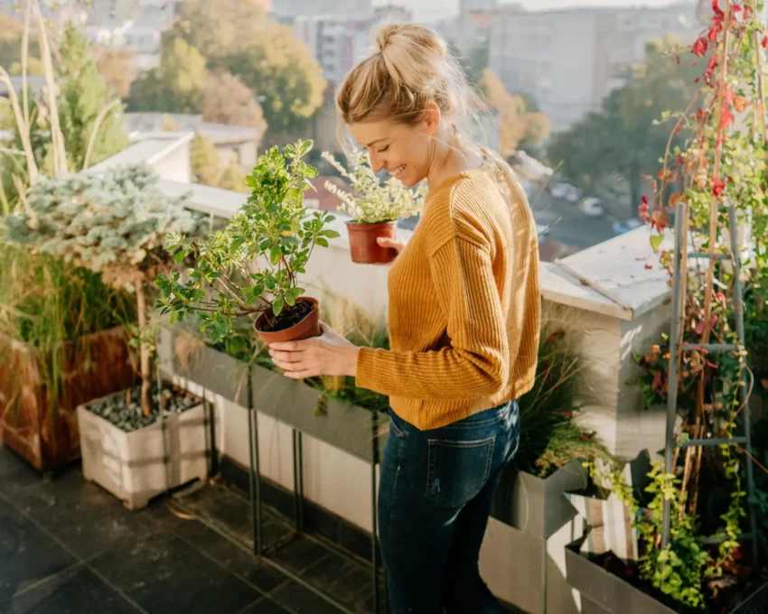 plantas-para-jardim