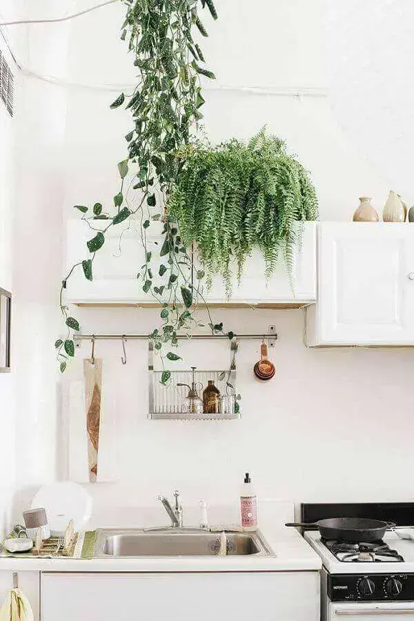 samambaia-na-decoracao