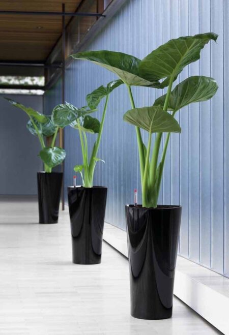 vasos-decorativos-para-plantas