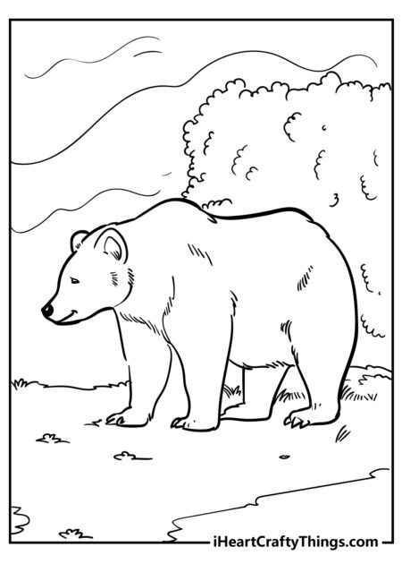 desenho-para-colorir-urso