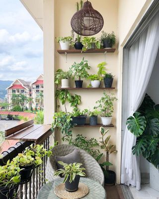 plantas-para-apartamento-2