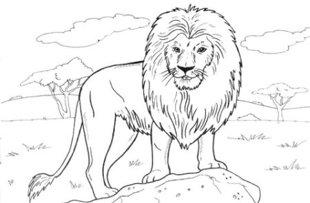 desenho-para-colorir-leao