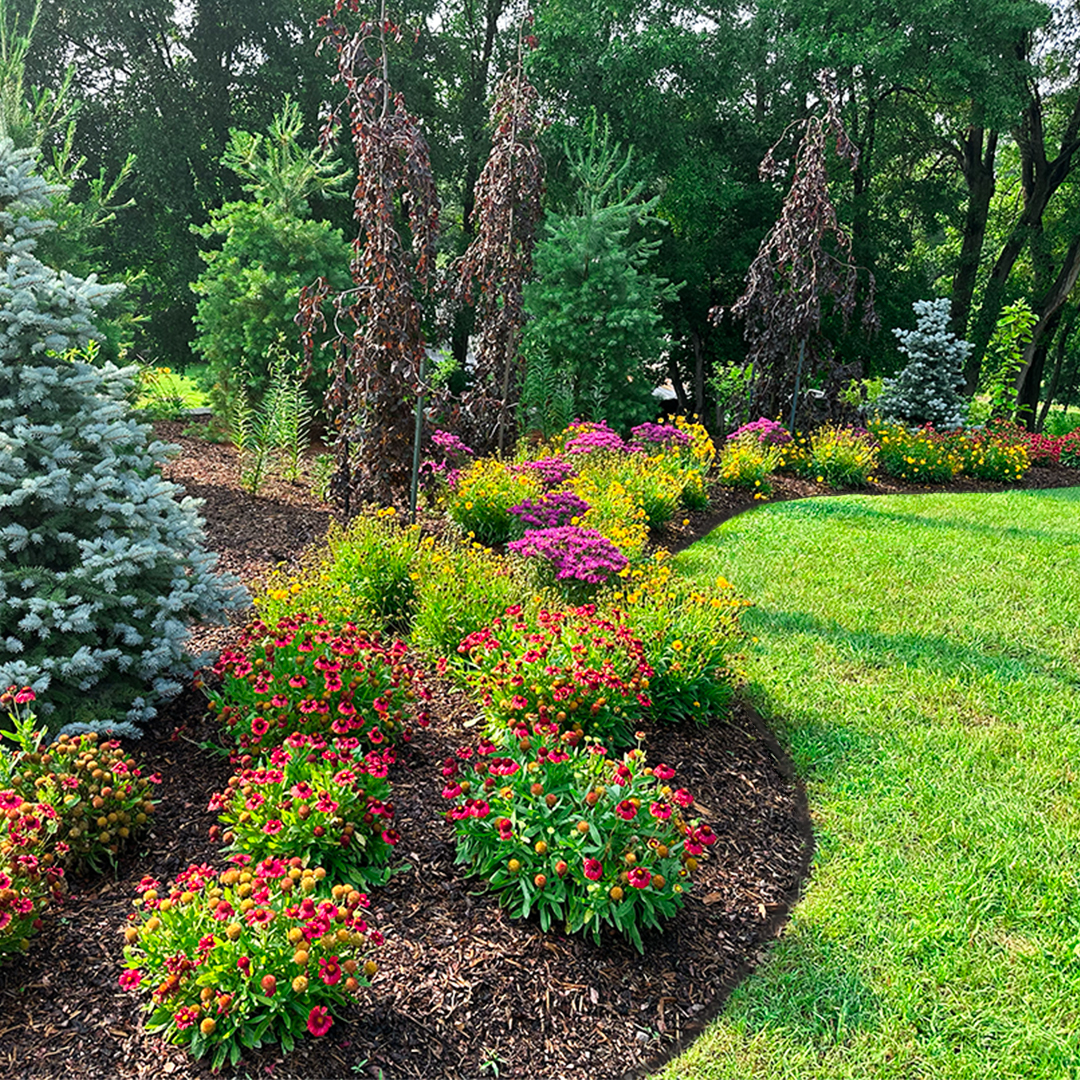 plantas-para-jardim