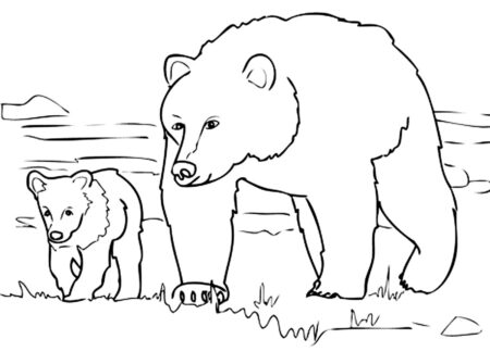 desenho-para-colorir-urso