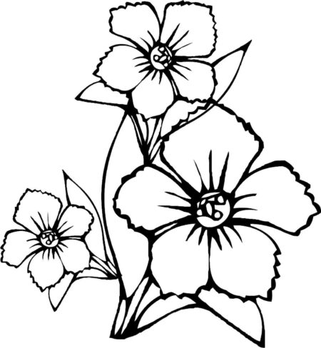 desenho-para-colorir-flores