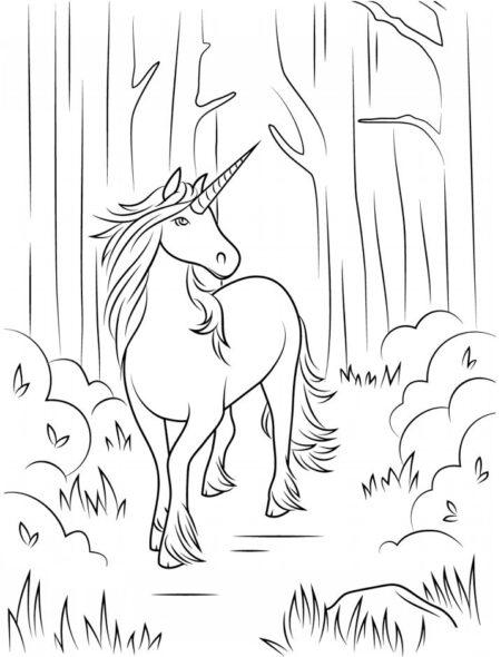 desenho-para-colorir-unicornio