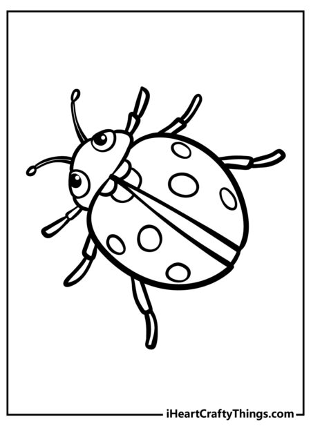 desenho-para-colorir-ladybug