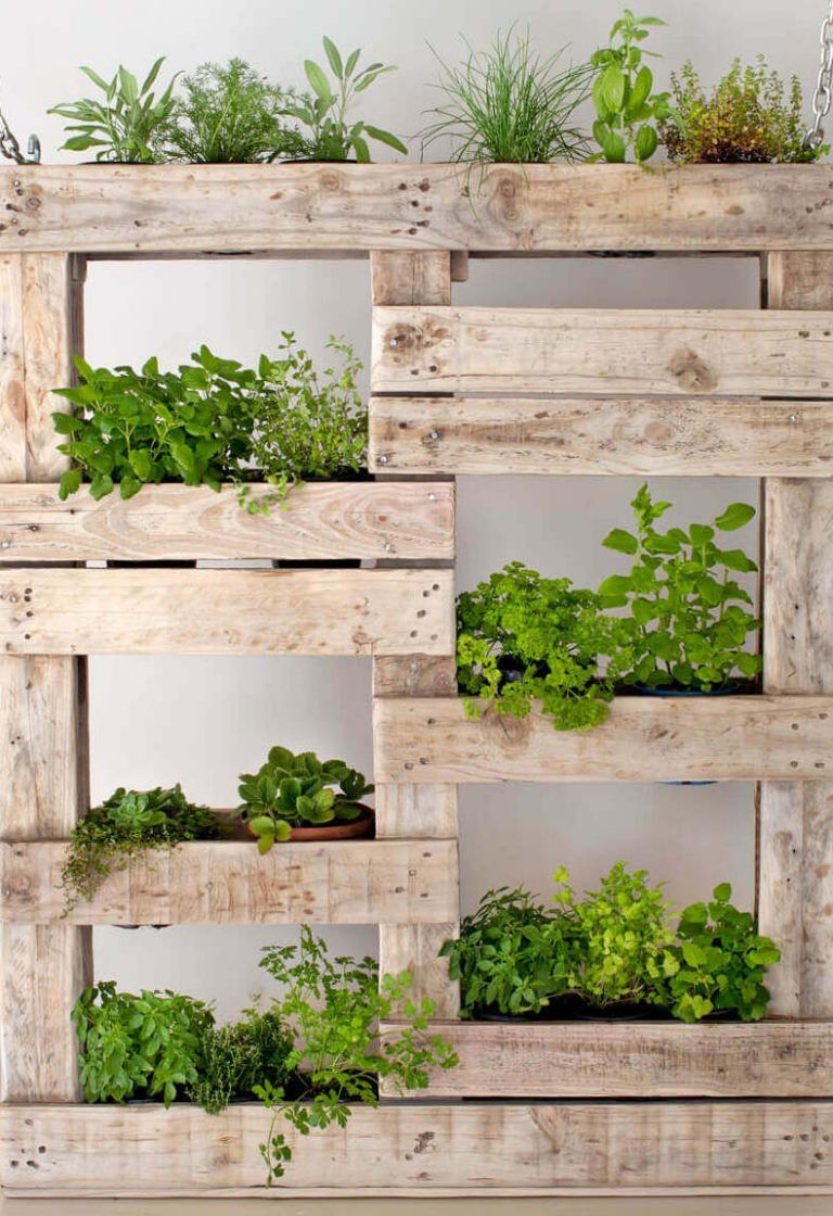 decoracao-de-jardim-com-pallet