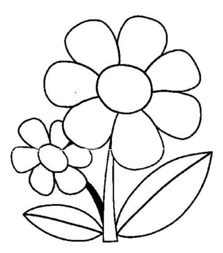 desenho-para-colorir-flores