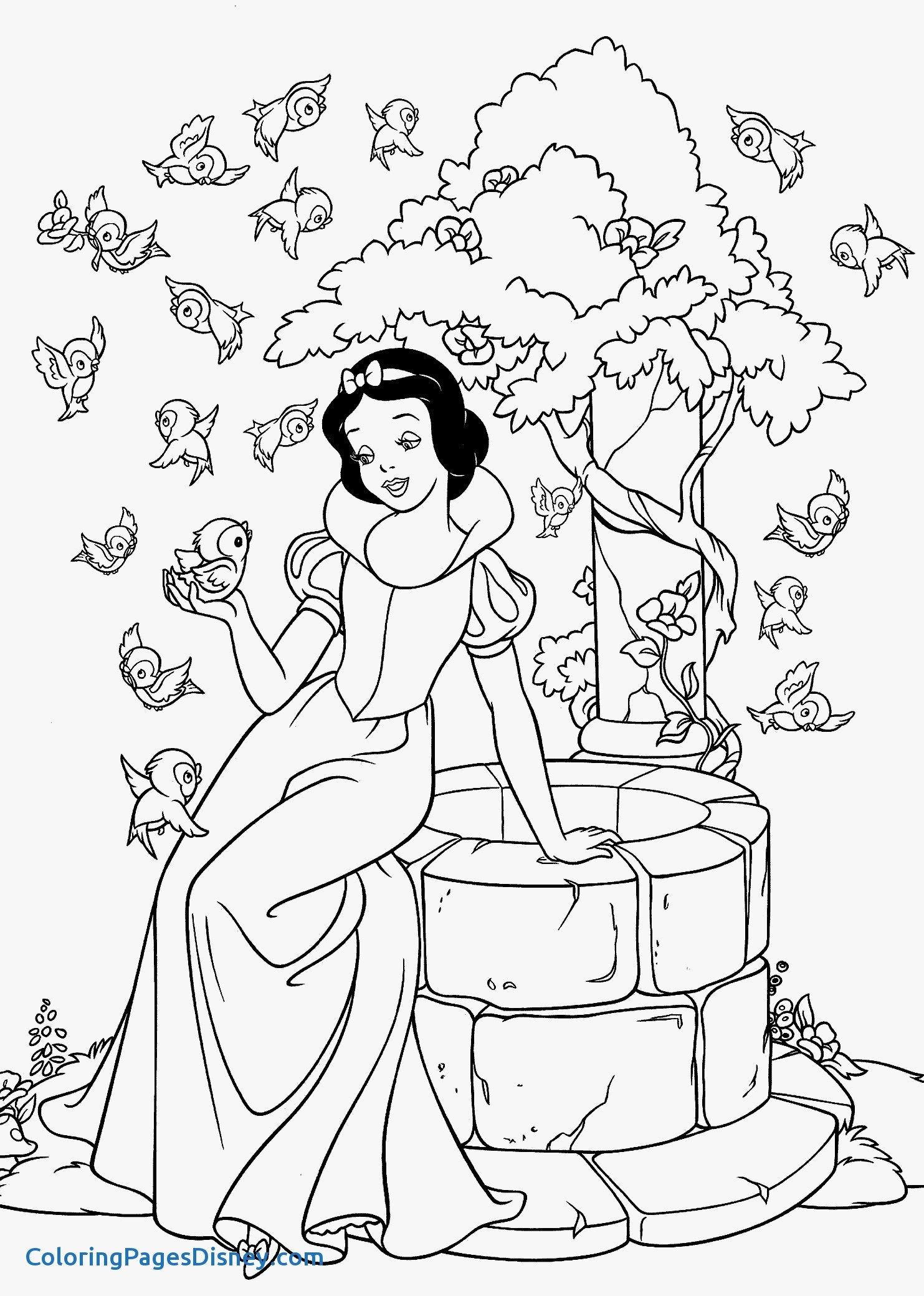 desenho-para-colorir-princesas