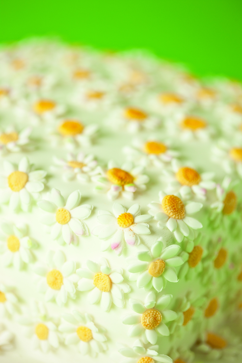 Decorated Cake Daisies