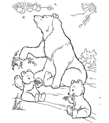 desenho-para-colorir-urso