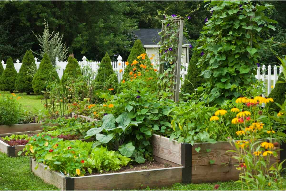 plantas-para-jardim