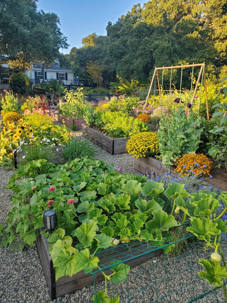 plantas-para-jardim