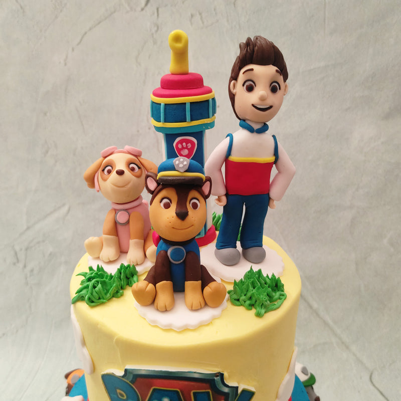 Paw Patrol Decorated Cake