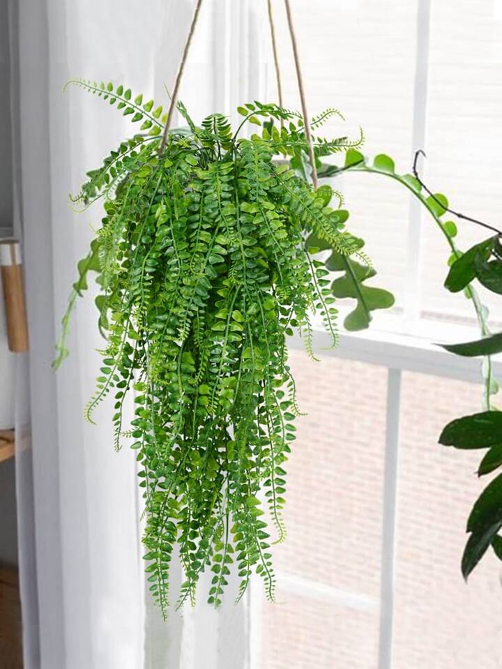 samambaia-na-decoracao