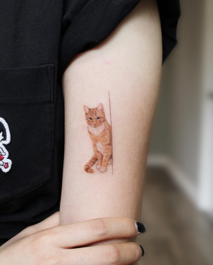 Tatuagem De Gato