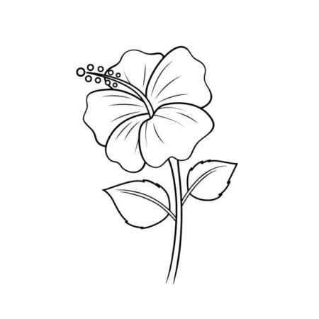 desenho-para-colorir-flores