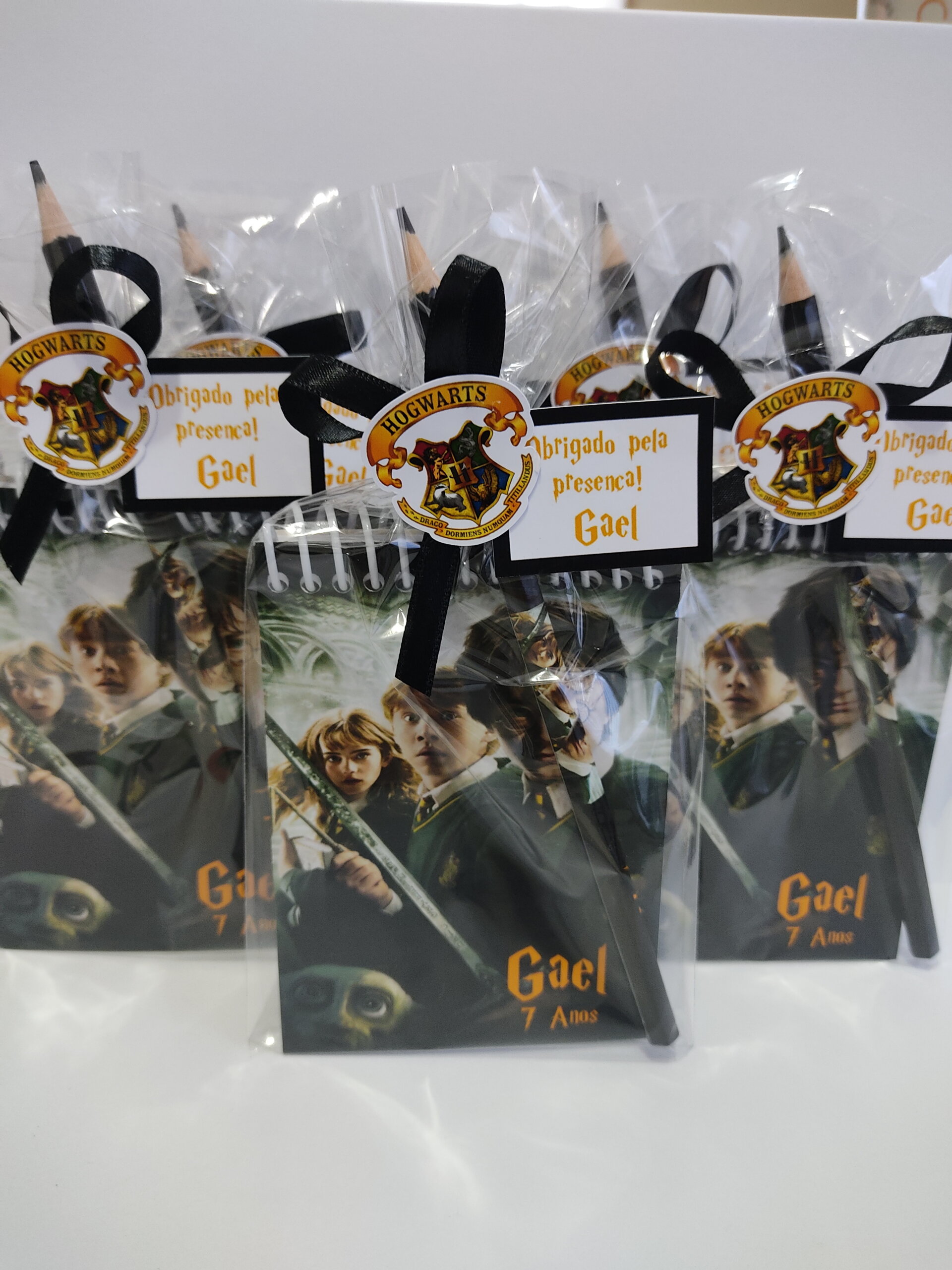 site:elo7.com.br Lembrancinha Harry Potter