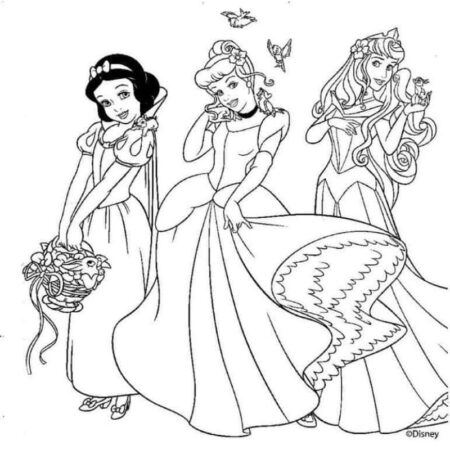 desenho-para-colorir-princesas