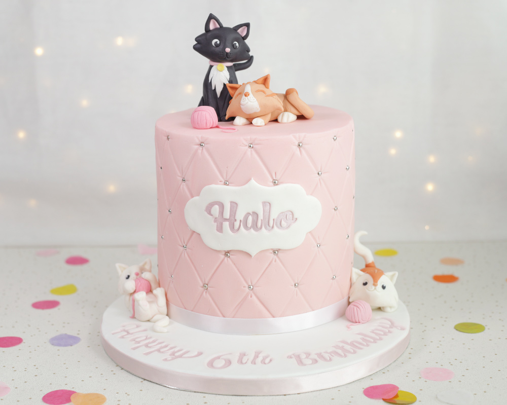 Decorated Cake Kittens