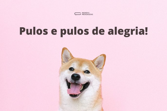 frases-para-fotos-com-cachorro