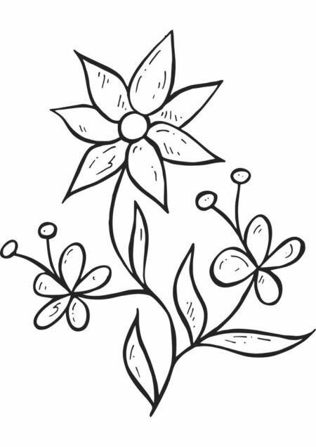 desenho-para-colorir-flores