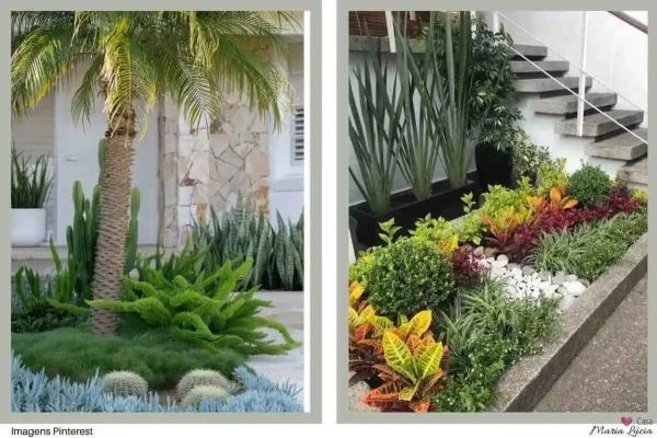 plantas-para-jardim