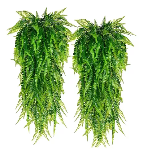samambaia-na-decoracao