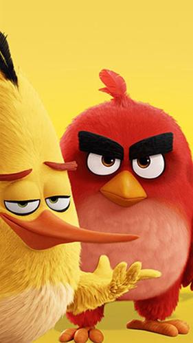 papel-de-parece-para-celular-angry-birds