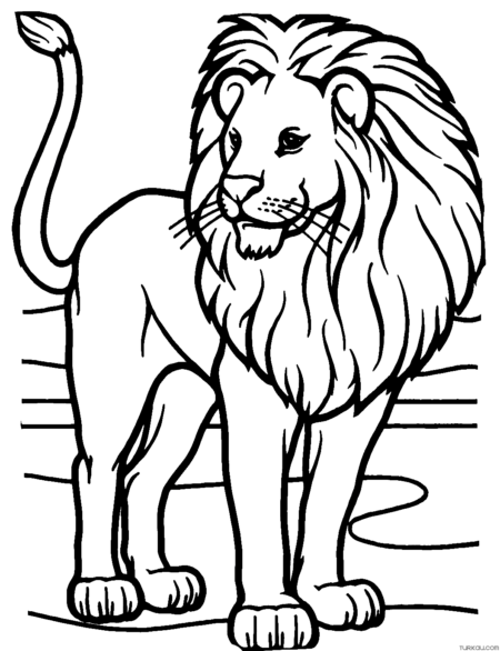 desenho-para-colorir-leao