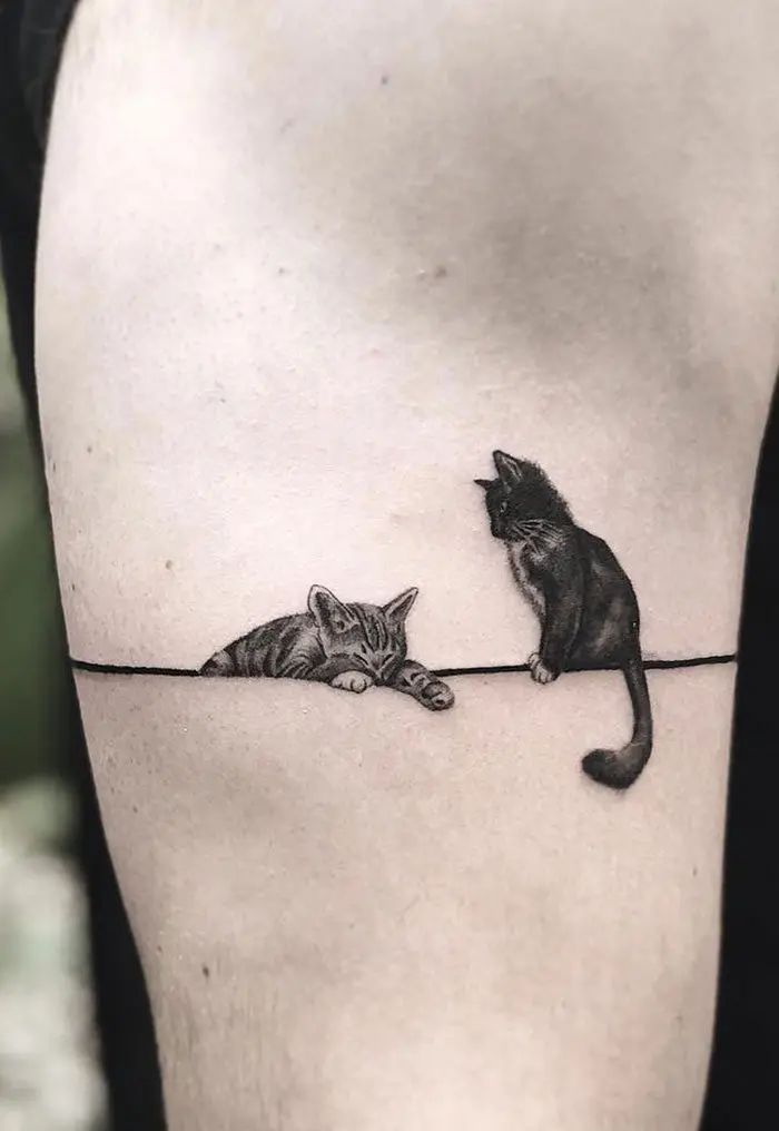 Tatuagem De Gato