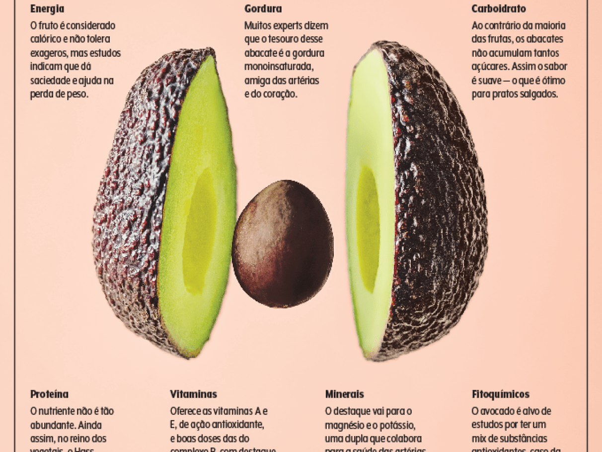 abacate-carboidrato