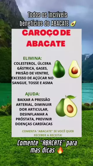 abacate-gases