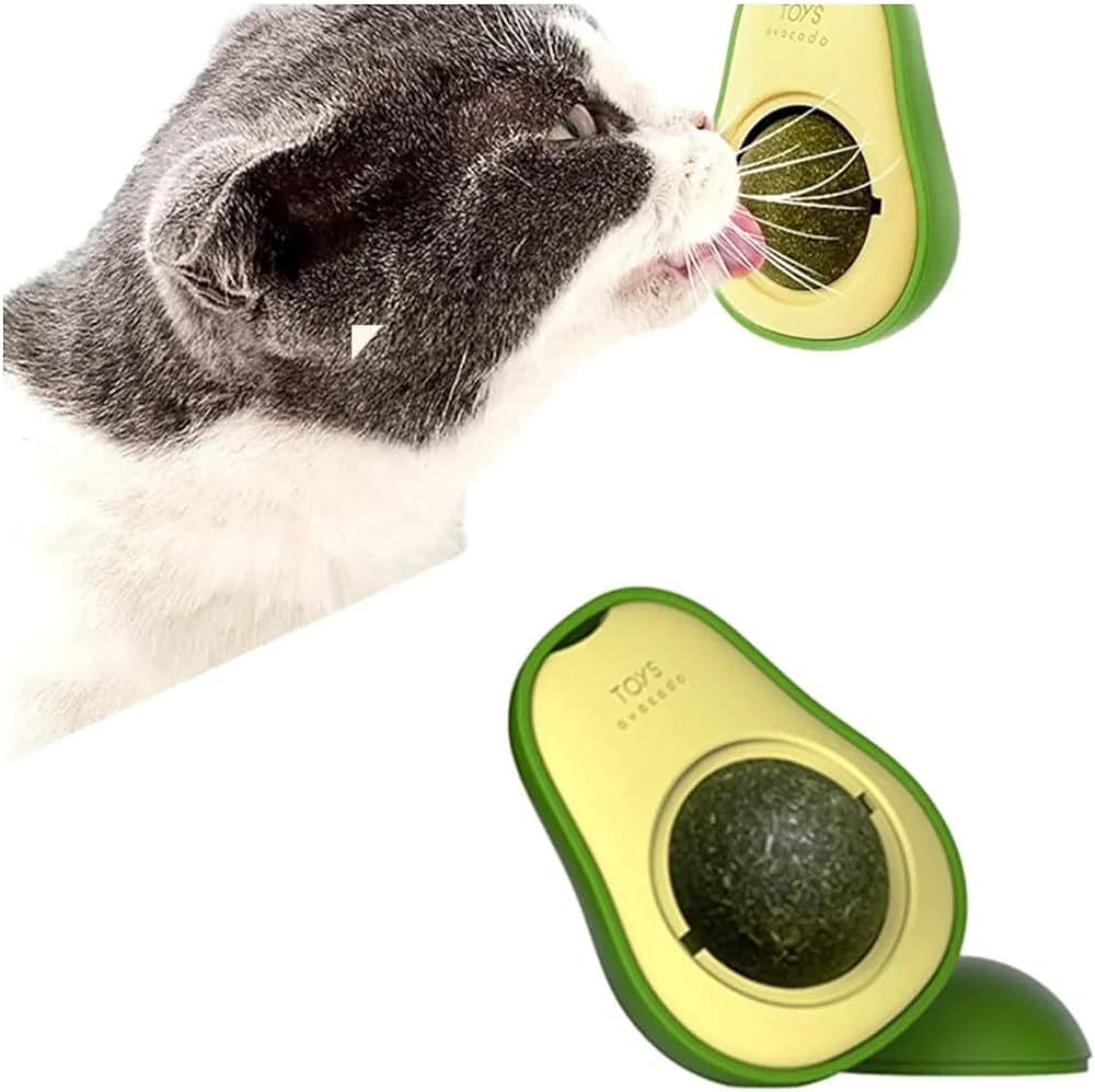 abacate-gato