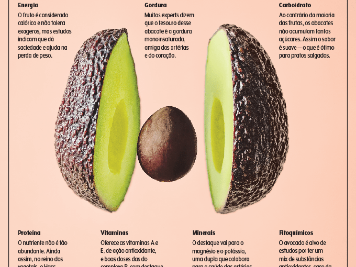 abacate-informacao-nutricional