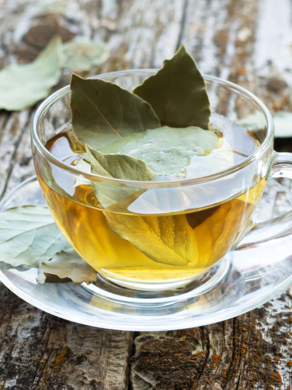 cha-de-louro-beneficios-para-saude