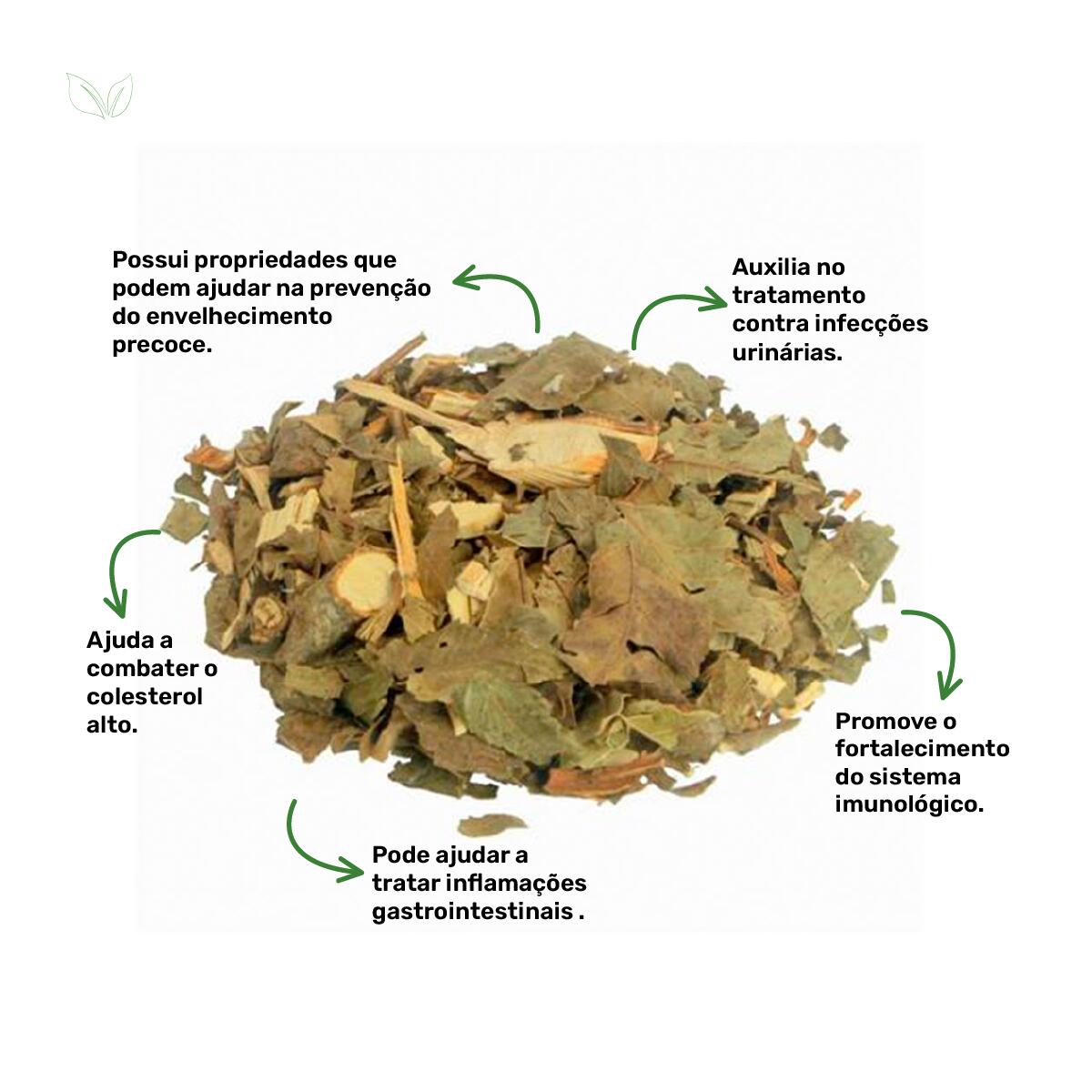 cha-de-nogueira-beneficios
