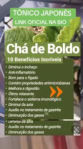 cha-japones-beneficios