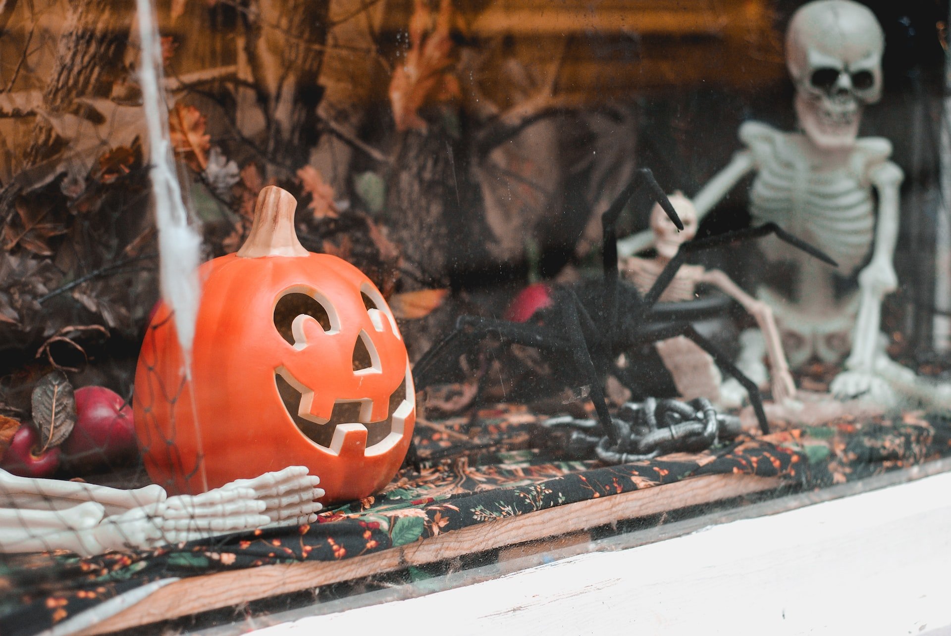 Decoração de Festa Halloween