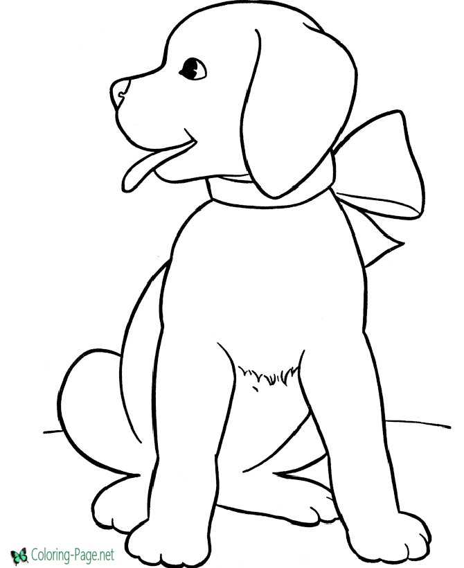 Dog Coloring Page